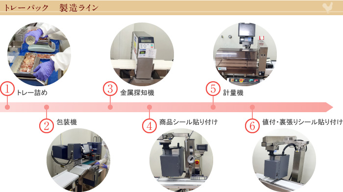 トレーパック製造ライン