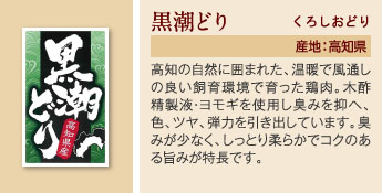 黒潮どり くろしおどり