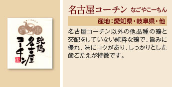 名古屋コーチン なごやこーちん